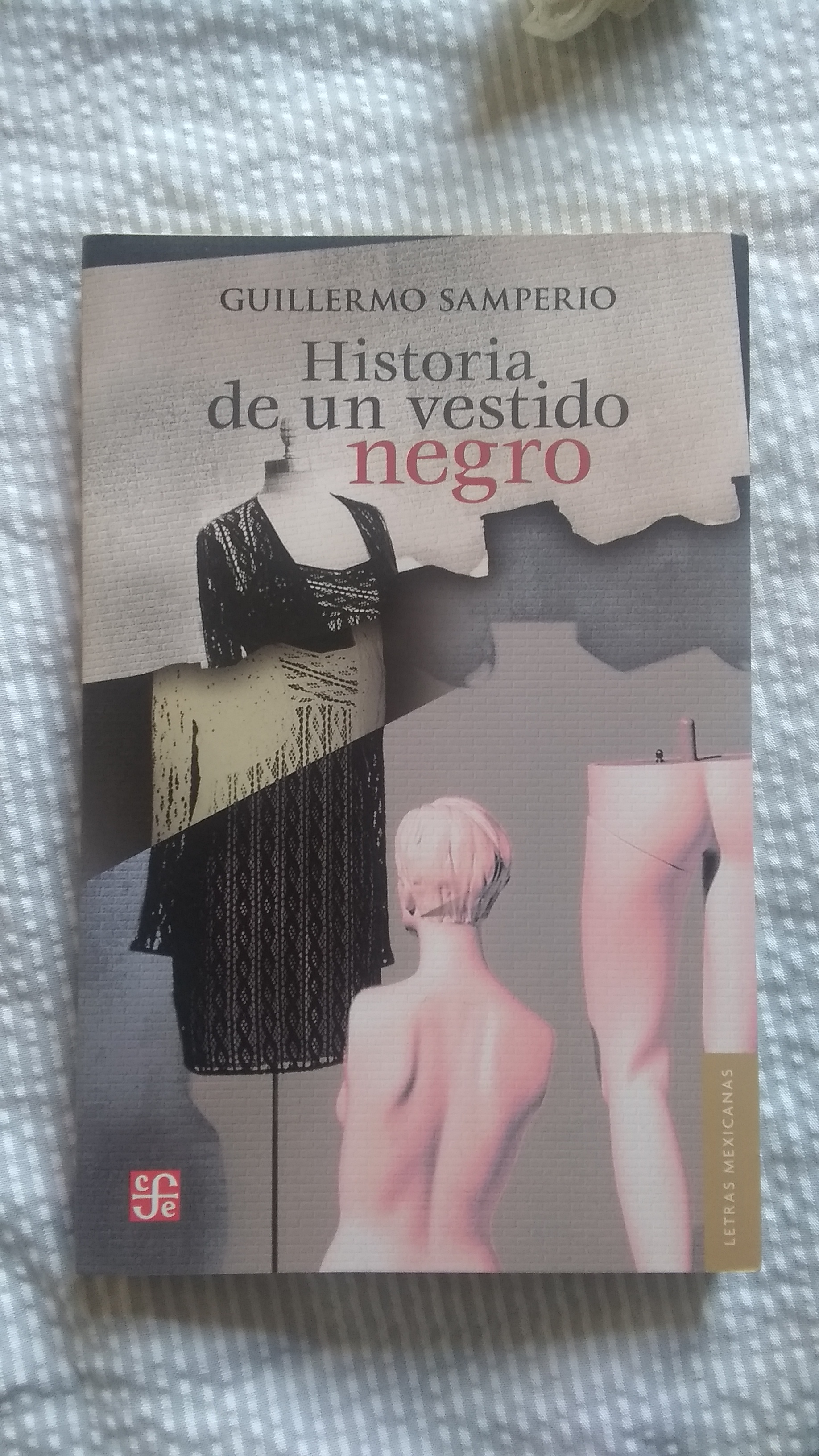  Historia de un vestido negro Literatura