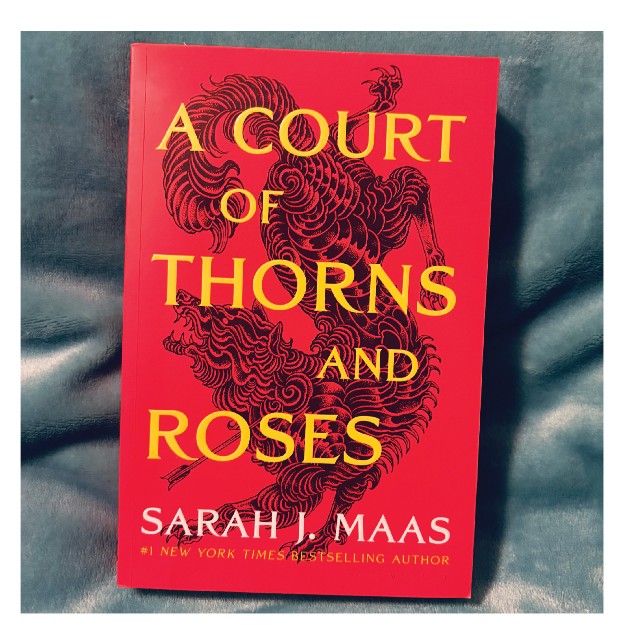  A Court Of Thorns And RosesFantasía