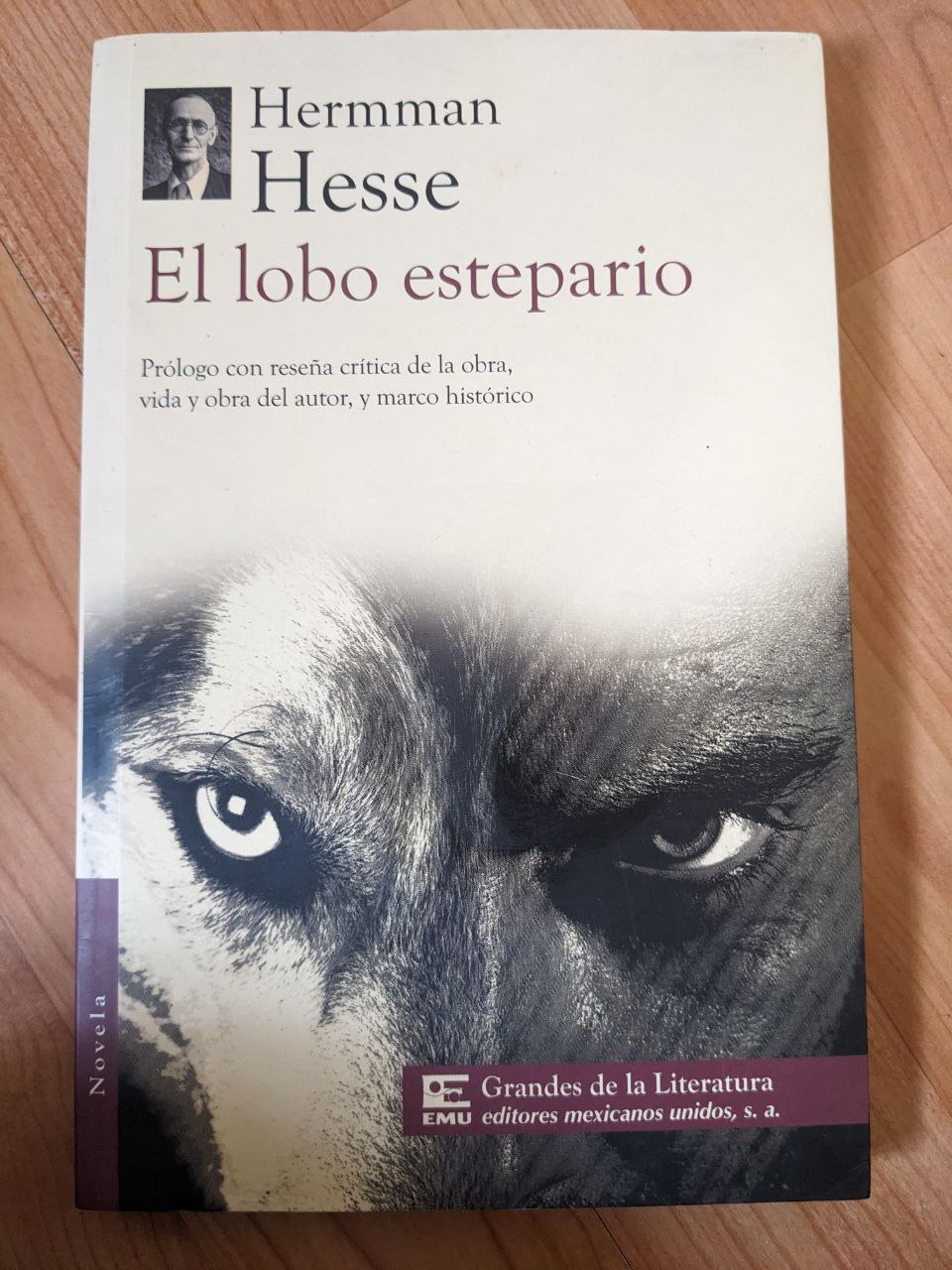  El lobo esteparioNovelas