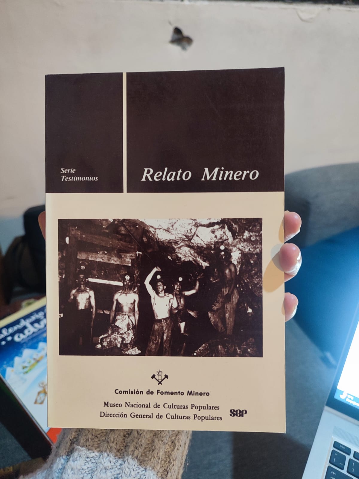  Relato mineroDisciplinas